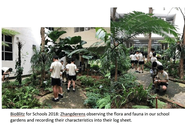 Students in uniforms observe and record plants in a lush school garden during BioBlitz for Schools 2018.